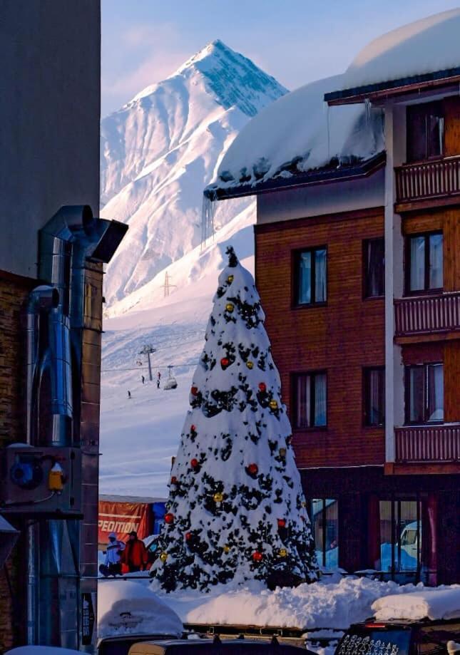 Gudauri Shiny Studio Near Gondola Dış mekan fotoğraf